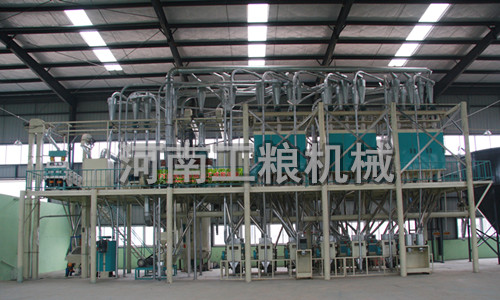 100噸級玉米加工機(jī)械